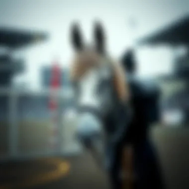 Magnificent 상암 월드컵 경기장에 대한 심층 분석
