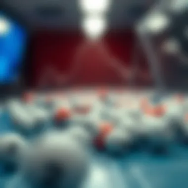 Visualization of lottery dynamics and algorithms