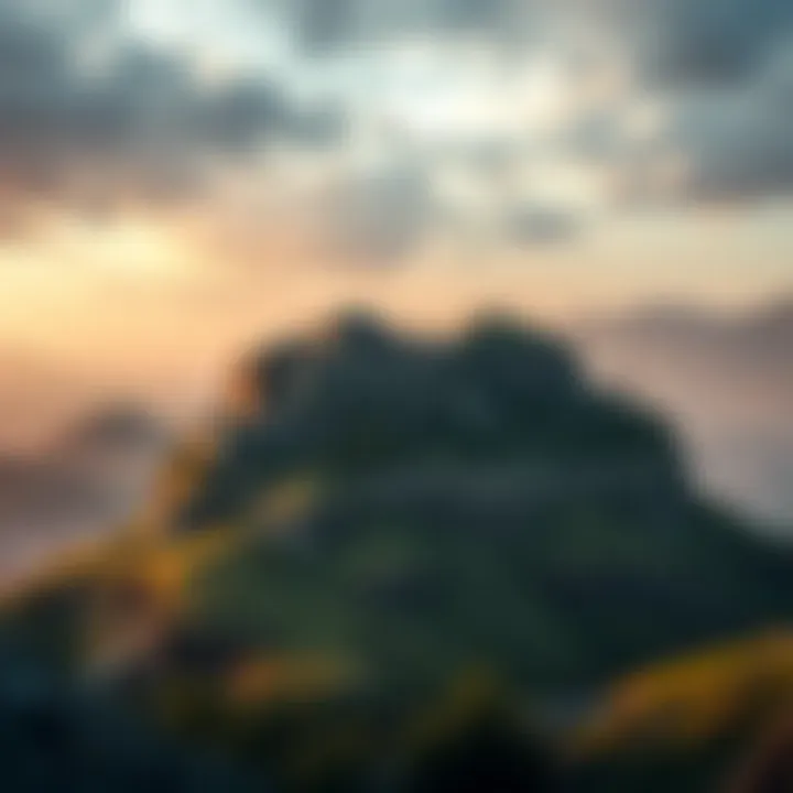 A New Financial Landscape Financial transformation after winning