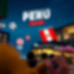 Insightful infographic detailing the history of Peru Lotto