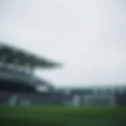 토토 배당률 계산법 Introduction