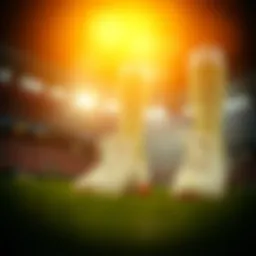 토토라인: 로또와 스포츠 베팅의 이해와 전략 Introduction