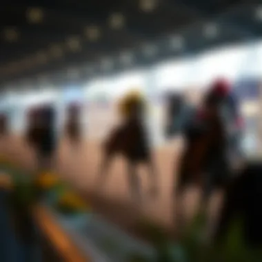 An analysis of user challenges in the mobile horse racing betting landscape